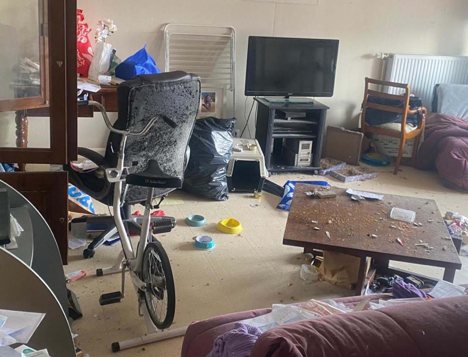 Avant intervention Diogène – Séjour Quimper Bretagne Séjour avant nettoyage Diogène intervention Propreté 29 à Quimper